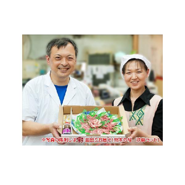 馬刺し 馬肉 熊本 馬刺し桜皿盛 【スライス済】 白水セット 500ｇ ギフト 贈答品 プレゼント 人気 通販 お祝い 入学 入社 転職 春ギフト 母の日　 | 熊本の味馬刺し屋 | 02