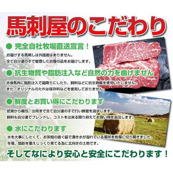 馬刺し 馬肉 熊本 桜馬刺し 霜降りもも 100g×2 お祝い バレンタイン 甘くない 春ギフト | 熊本の味馬刺し屋 | 01