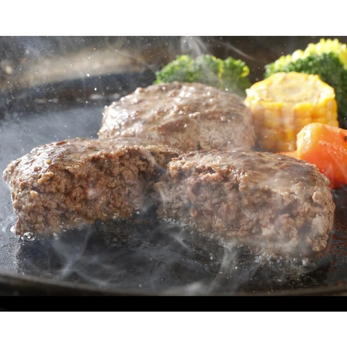 秘密のケンミンSHOW 馬刺し ギフト 純国産馬肉 2種詰め合わせセット 手作り馬ハンバーグ 馬肉ウィンナー 詰め合わせセット 480g お祝い お中元 夏ギフト | 熊本の味馬刺し屋 | 02