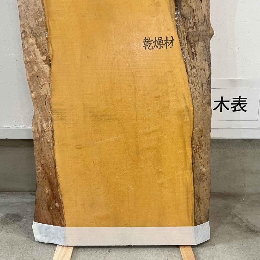 トチ 板 木材 DIY 無垢板 一枚板 広葉樹 耳付き 1040×280〜365・425〜480×36mm 荒木 - 11