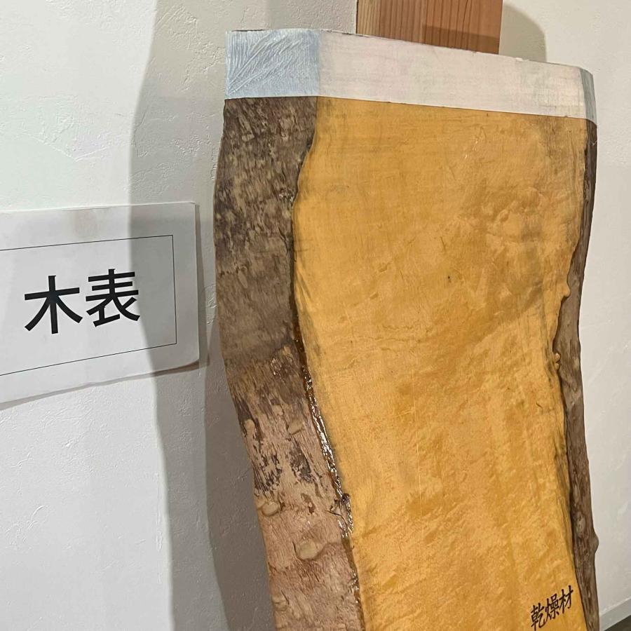 トチ 板 木材 DIY 無垢板 一枚板 広葉樹 耳付き 1040×280〜365・425〜480×36mm 荒木 - 10
