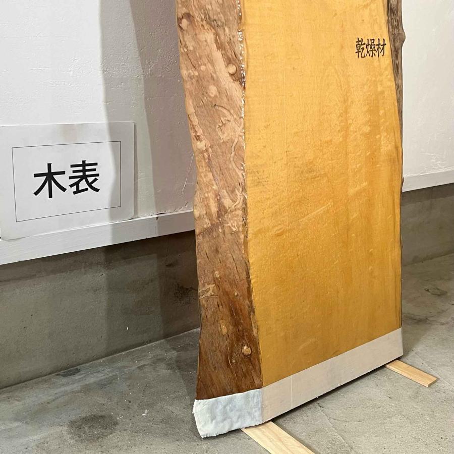 トチ 板 木材 DIY 無垢板 一枚板 広葉樹 耳付き 1040×280〜365・425〜480×36mm 荒木 - 14
