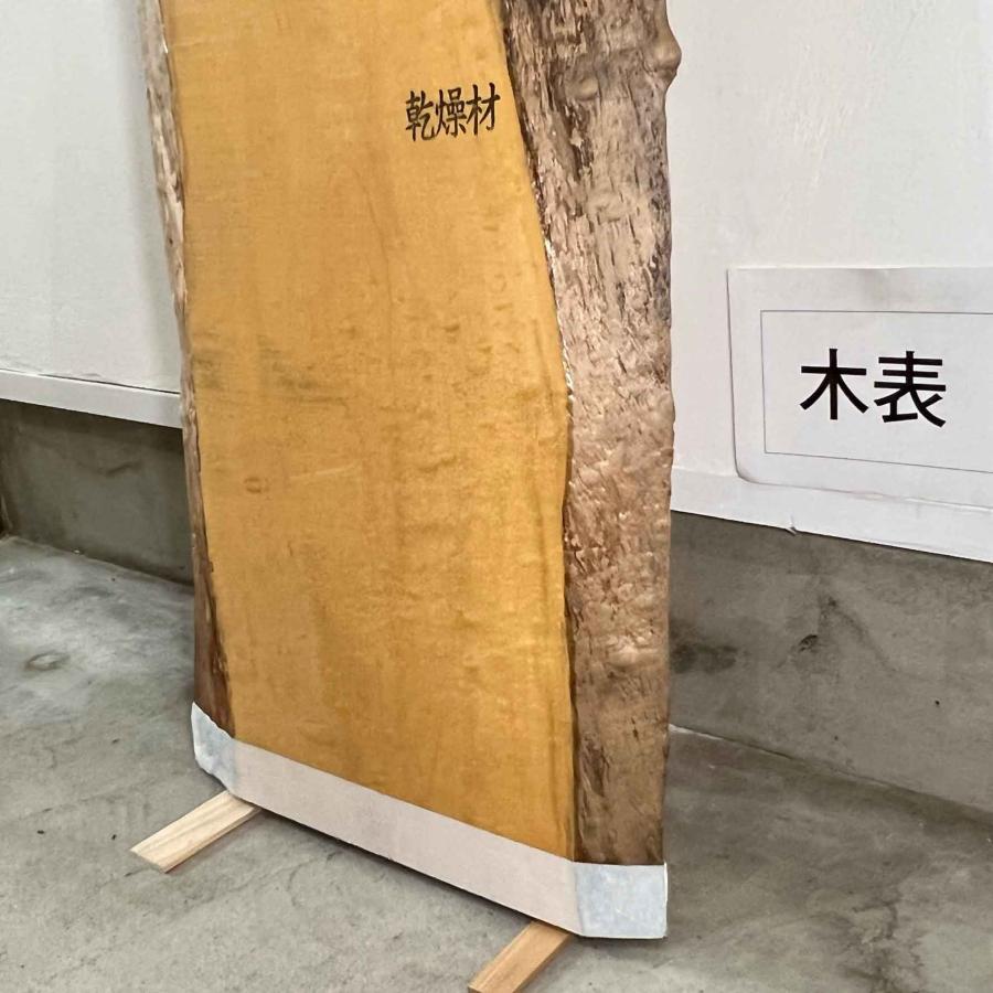 トチ 板 木材 DIY 無垢板 一枚板 広葉樹 耳付き 1040×280〜365・425〜480×36mm 荒木 - 5