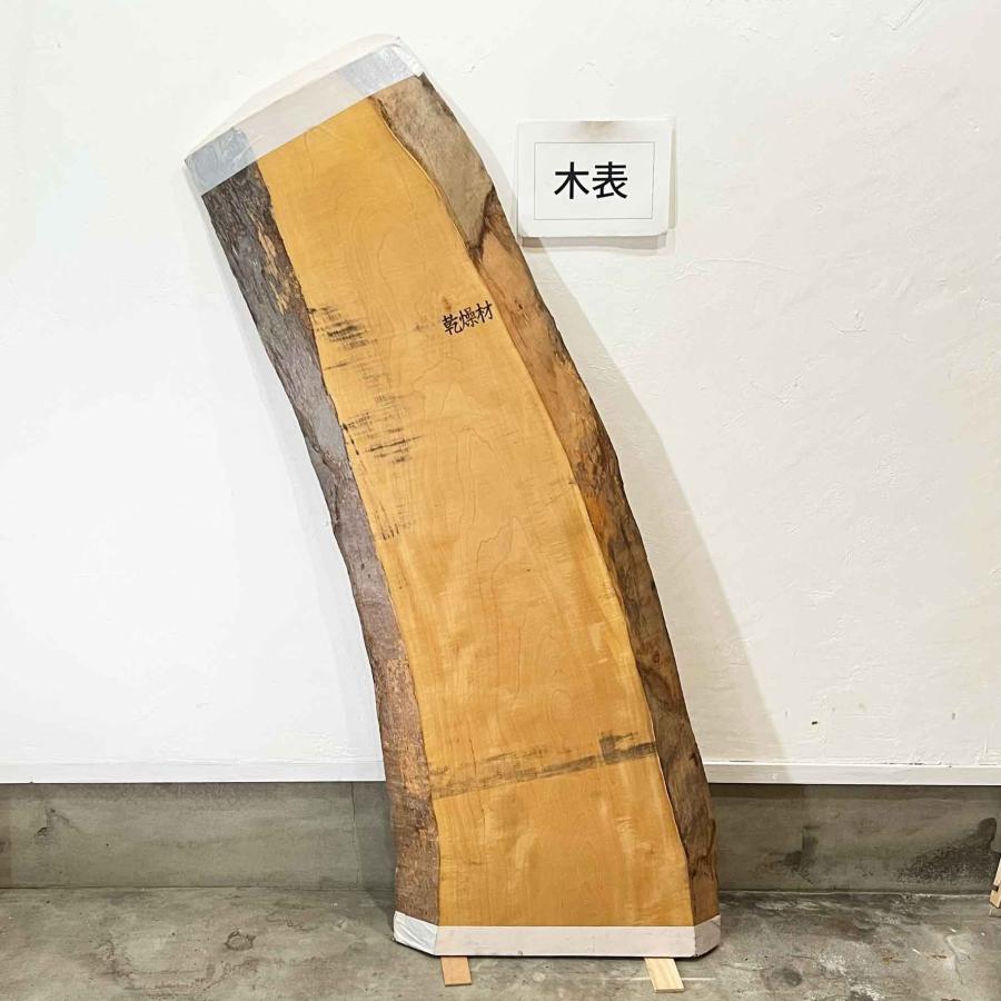 トチ 栃 木材 一枚板 板 DIY 材料 無垢板 木工 工作 家具 手作り インテリア 木 旋盤  棚 テーブル 椅子 | ブランド登録なし | 02