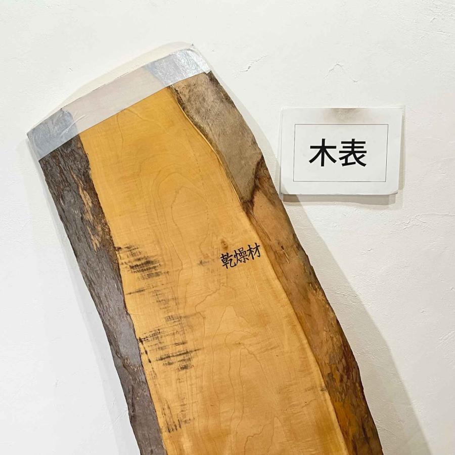 トチ 栃 木材 一枚板 板 DIY 材料 無垢板 木工 工作 家具 手作り インテリア 木 旋盤  棚 テーブル 椅子 | ブランド登録なし | 03