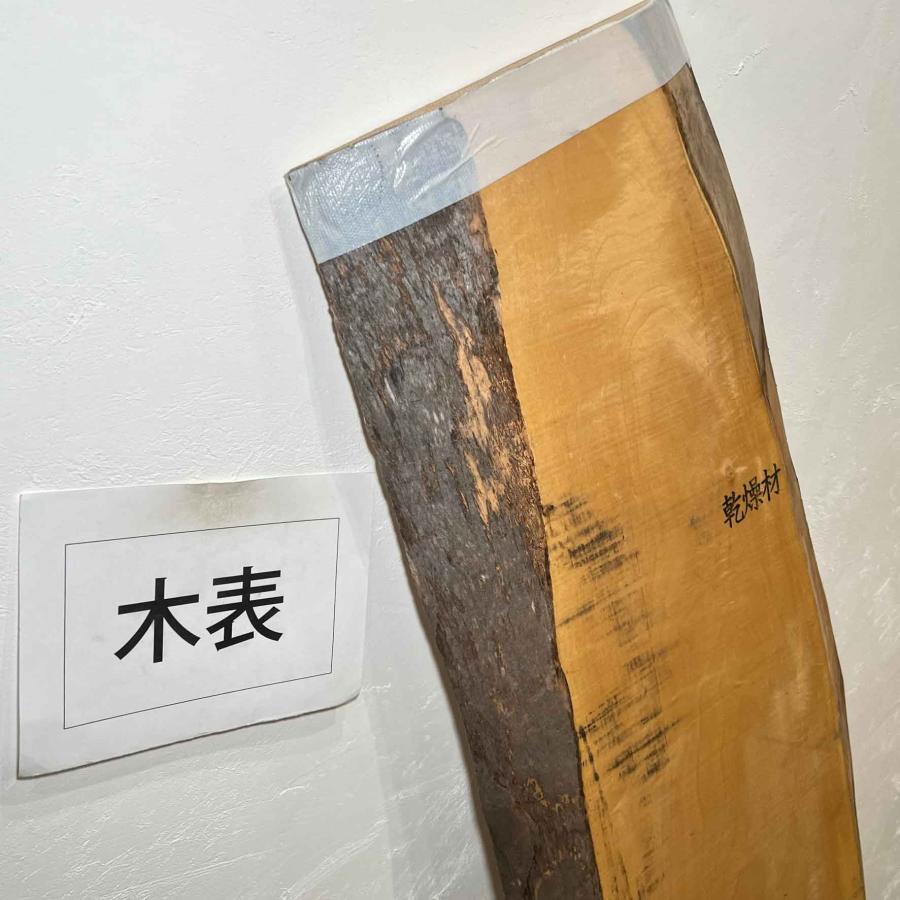 トチ 栃 木材 一枚板 板 DIY 材料 無垢板 木工 工作 家具 手作り インテリア 木 旋盤  棚 テーブル 椅子 | ブランド登録なし | 05