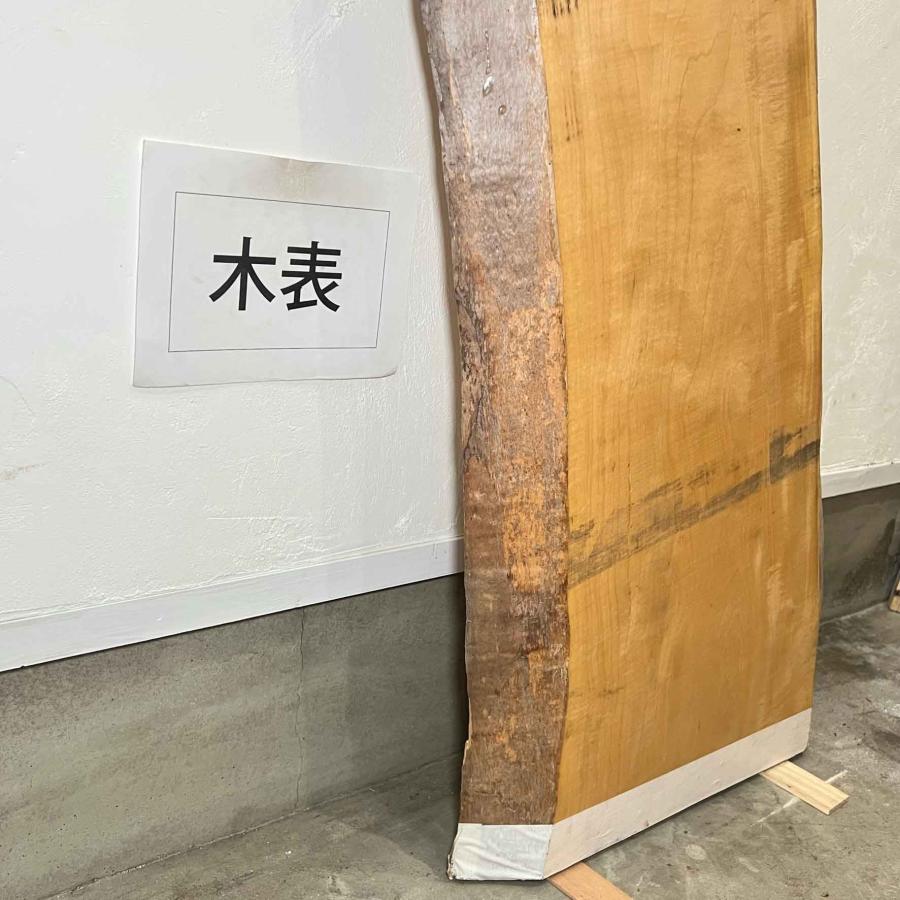 トチ 栃 木材 一枚板 板 DIY 材料 無垢板 木工 工作 家具 手作り インテリア 木 旋盤  棚 テーブル 椅子 | ブランド登録なし | 06