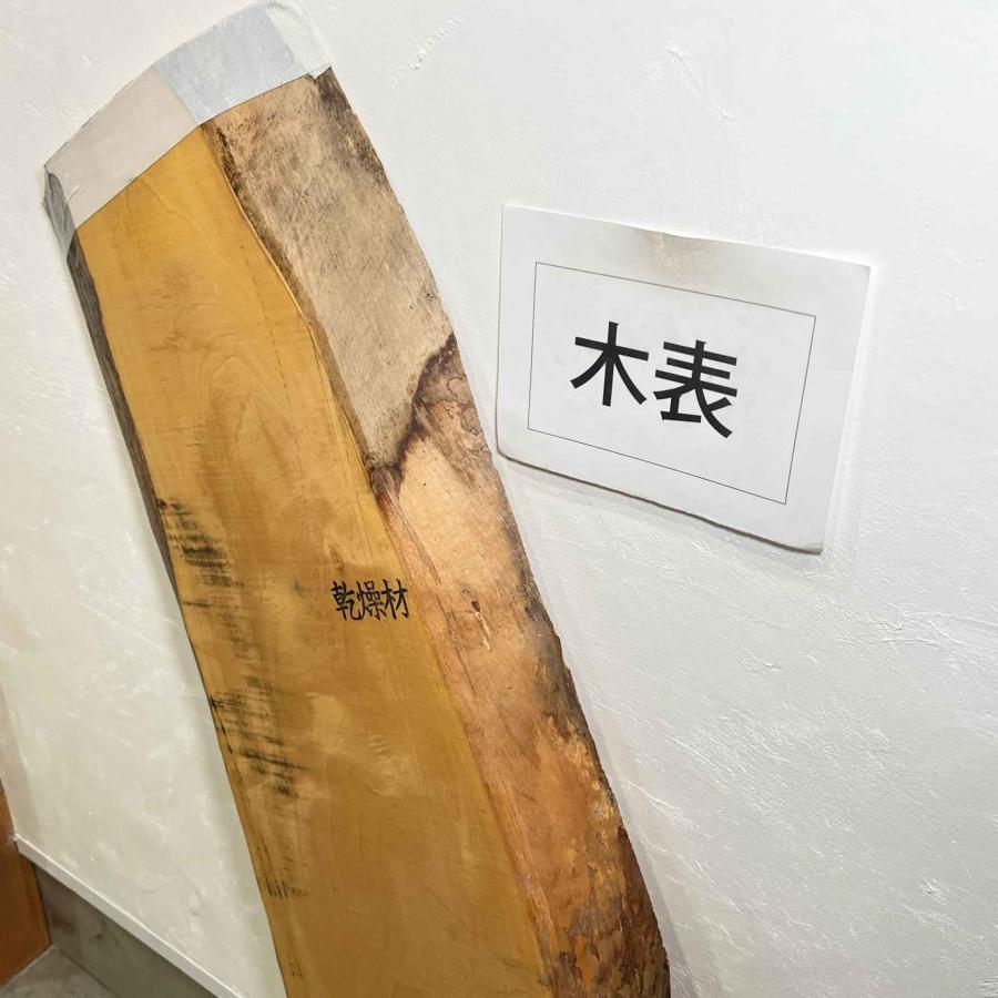 トチ 栃 木材 一枚板 板 DIY 材料 無垢板 木工 工作 家具 手作り インテリア 木 旋盤  棚 テーブル 椅子 | ブランド登録なし | 07