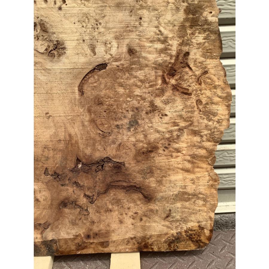 ポプラ コブ 木材 一枚板 板 DIY 材料 無垢板 木工 工作 家具 手作り