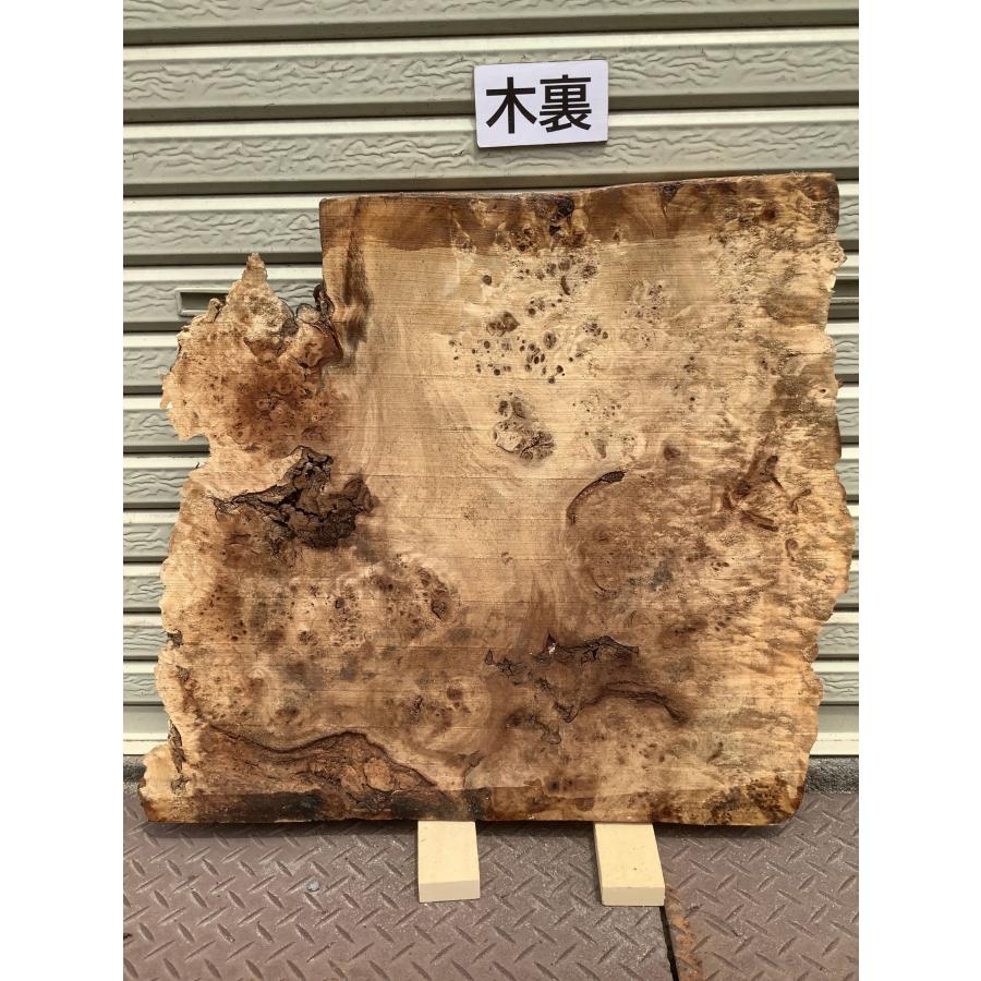 ポプラ コブ 木材 一枚板 板 DIY 材料 無垢板 木工 工作 家具 手作り