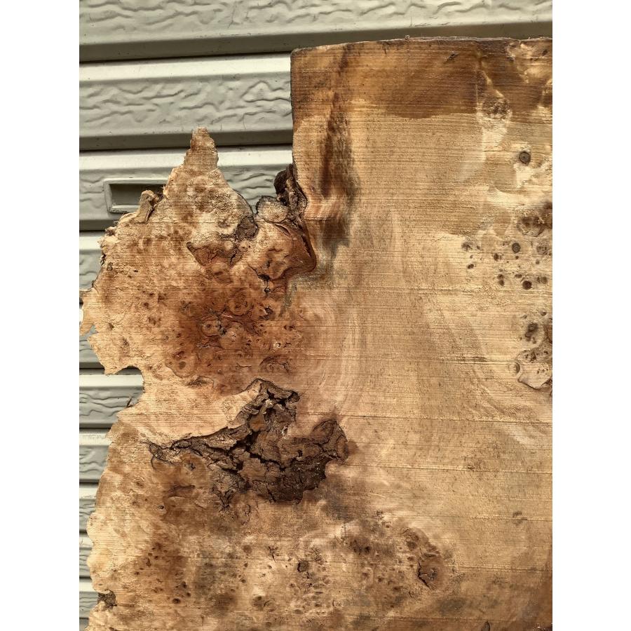 ポプラ コブ 木材 一枚板 板 DIY 材料 無垢板 木工 工作 家具 手作り