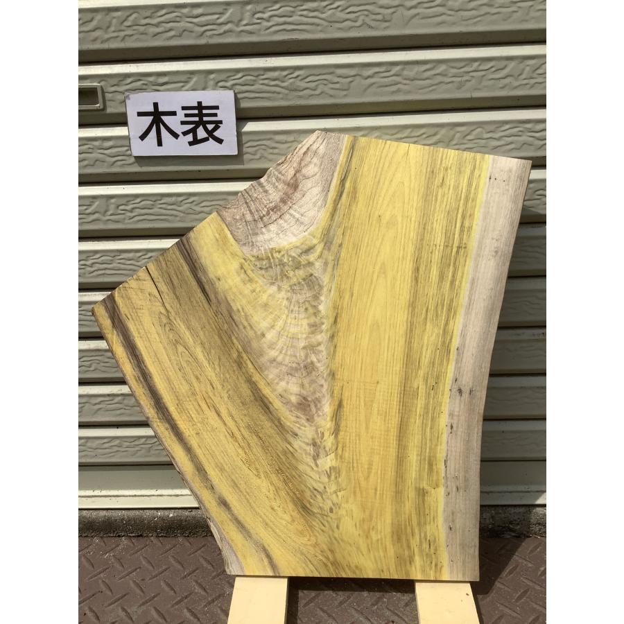 ハゼノキ 木材 一枚板 板 DIY 材料 無垢板 木工 工作 家具