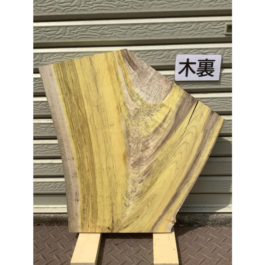 ハゼノキ 木材 一枚板 板 DIY 材料 無垢板 木工 工作 家具