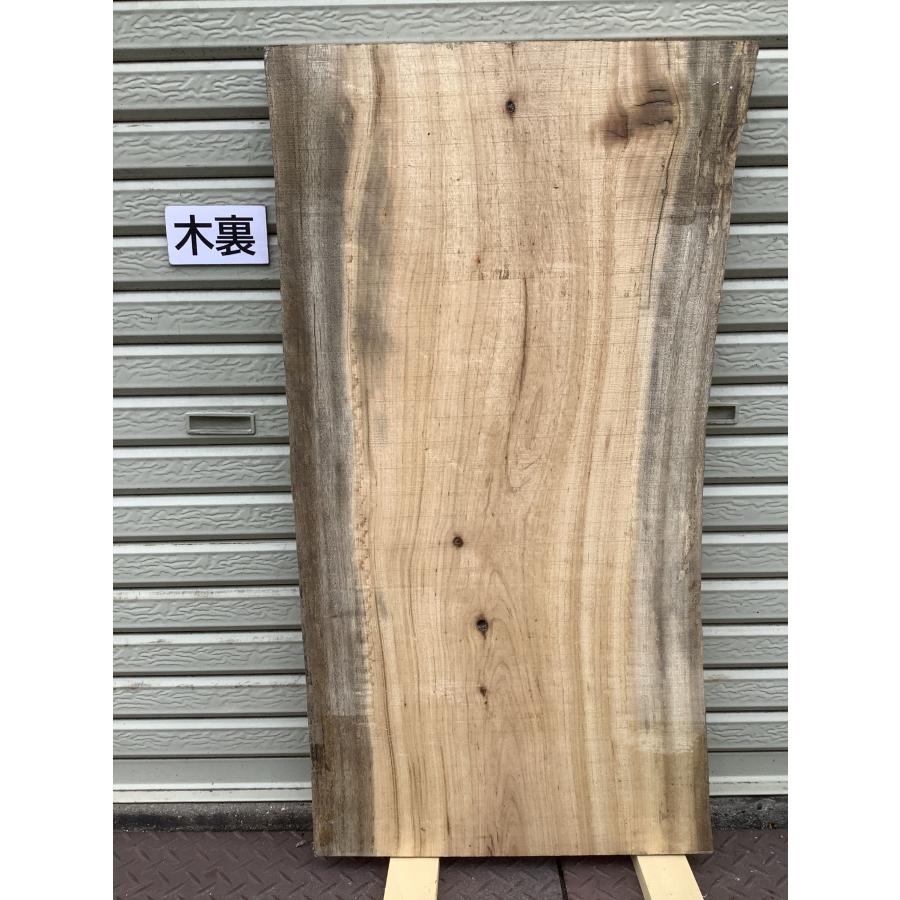 クス 楠 樟 木材 板 一枚板 無垢板 DIY 材料 木工 工作 荒木 家具 手作り インテリア 木 旋盤 棚 テーブル 椅子 | ブランド登録なし | 10