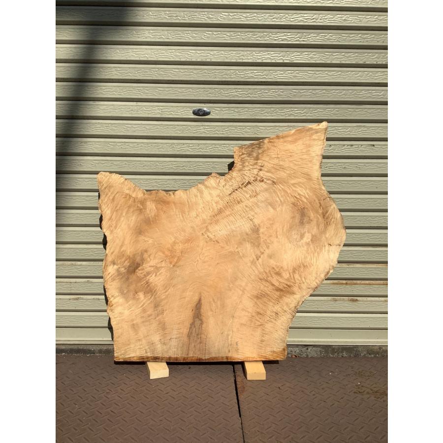 トチ 木材 一枚板 板 DIY 材料 無垢板 木工 工作 家具 手作り インテリア 木 旋盤  棚 テーブル 椅子 | ブランド登録なし | 10
