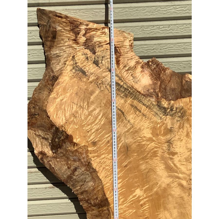 トチ 木材 一枚板 板 DIY 材料 無垢板 木工 工作 家具 手作り インテリア 木 旋盤  棚 テーブル 椅子 | ブランド登録なし | 04