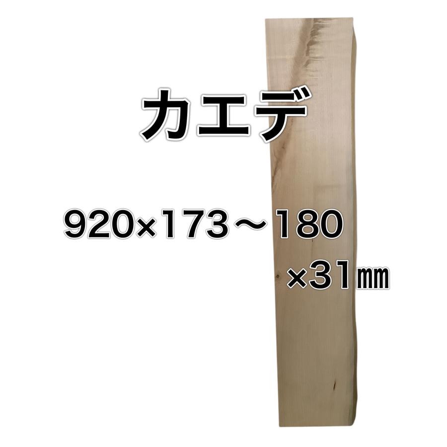カエデ 楓 木材 一枚板 板 DIY 材料 無垢板 木工 工作 家具 手作り インテリア 木 旋盤  棚 テーブル 椅子 | ブランド登録なし