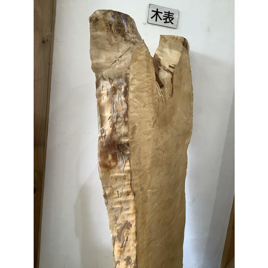 トチ 木材 一枚板 板 DIY 材料 無垢板 木工 工作 家具 手作り インテリア 木 旋盤  棚 テーブル 椅子 | ブランド登録なし | 04