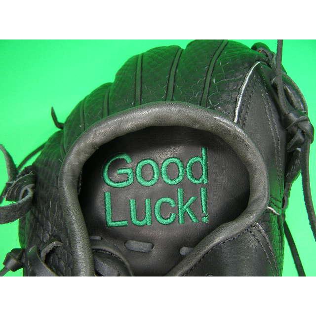 型付け加工済み ベースボールフィールド 投手・オールラウンド用 型押し革 ブラック バスケットウェブ 硬式野球用 ソフトボール用 BASEBALL FIELD 珍しい 珍品 | BELGARD | 03