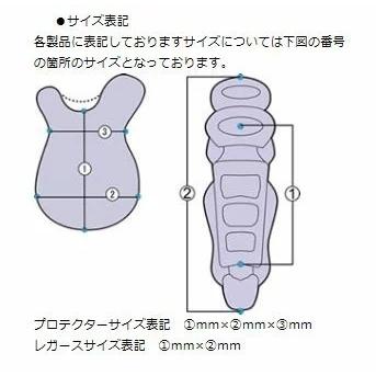 送料無料　ベルガード BELGARD 硬式野球用 キャッチャーセット MPL7750 4点セット ネイビー×ホワイト 収容バッグ付き 硬式｜baseballfield｜03