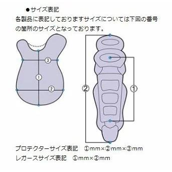 送料無料　ベルガード BELGARD 硬式野球用 キャッチャーセット MPL7750 4点セット ブラック×ゴールド 収容バッグ付き 硬式｜baseballfield｜03