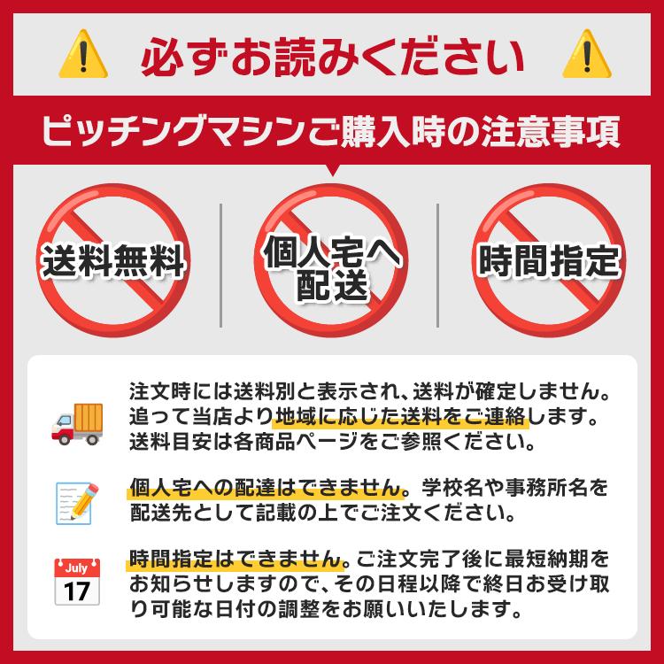 ニッシンエスピーエム ソフトボール用 投球者前用 防球ネット NN503