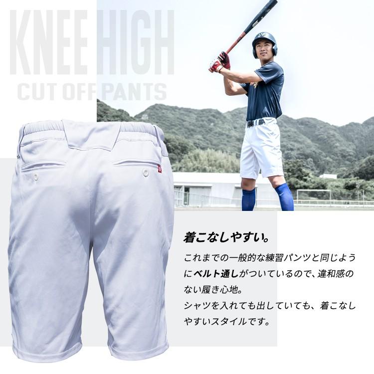 涼しい新提案 Udees 野球 ショート ユニフォームパンツ ニーハイカットオフパンツ ユニパン 膝丈 夏用 練習着 あすつく Upd Ud0001 01 Stand In 通販 Yahoo ショッピング