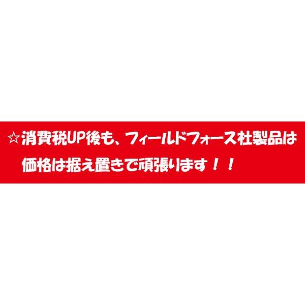 野球 FNMB-75P ナノミニボール 室内 バッティング 練習用 ミニボール  野球 練習器具｜baseballpower｜04