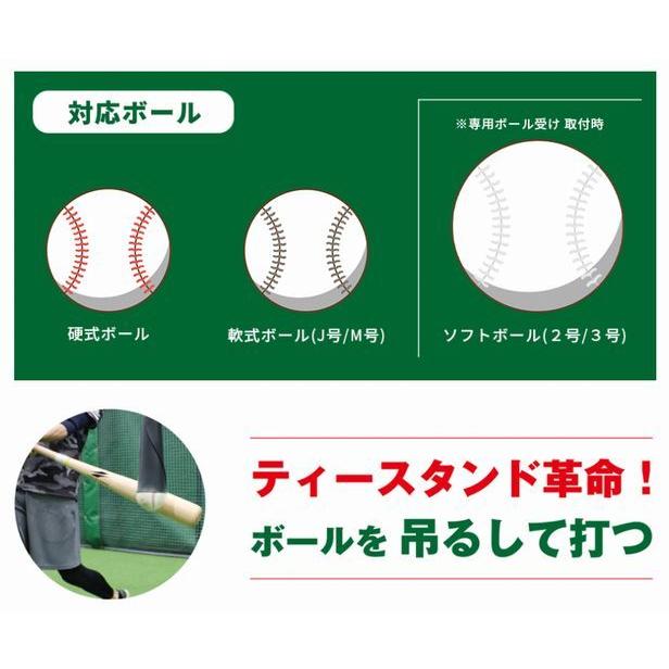 FIELD FORCE スウィングパートナー・バックスピン FBST-310 FIELD FORCE スウィングパートナー・バックスピン FBST-310