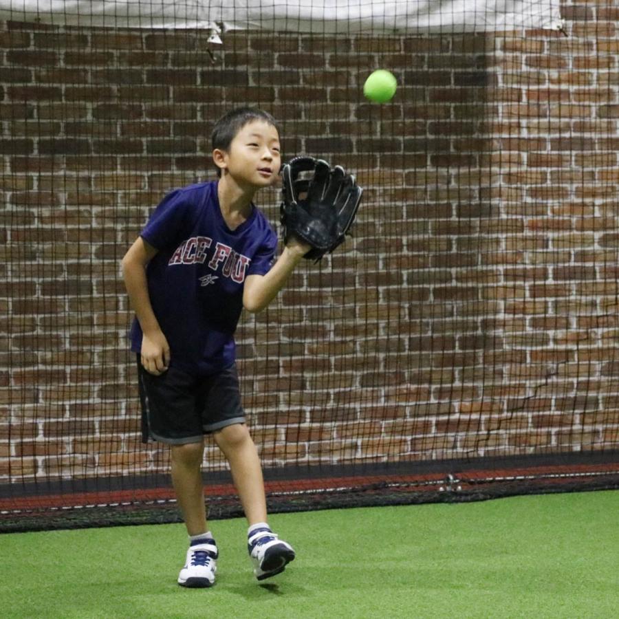 グリーンライトボール 低学年向け 軟式練習球 J号サイズ 12球入り 約