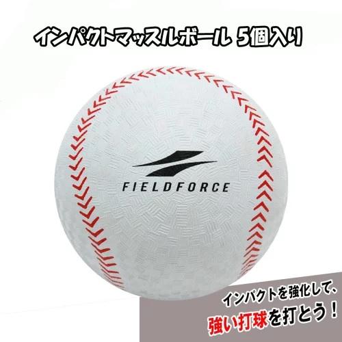 インパクトマッスルボール 5個入り FIMB-1840 打撃練習 フィールド