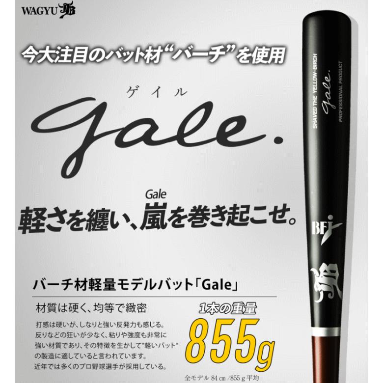 JB ジェイビー 硬式バット 木製バット ゲイル Gale バーチ材軽量 JB ジェイビー 硬式バット 木製バット ゲイル Gale バーチ材軽量