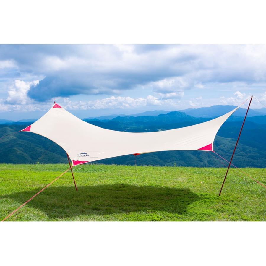 MSR ○MSR ランデブーサンシールド 120ウィング (37076) ／ ウィング