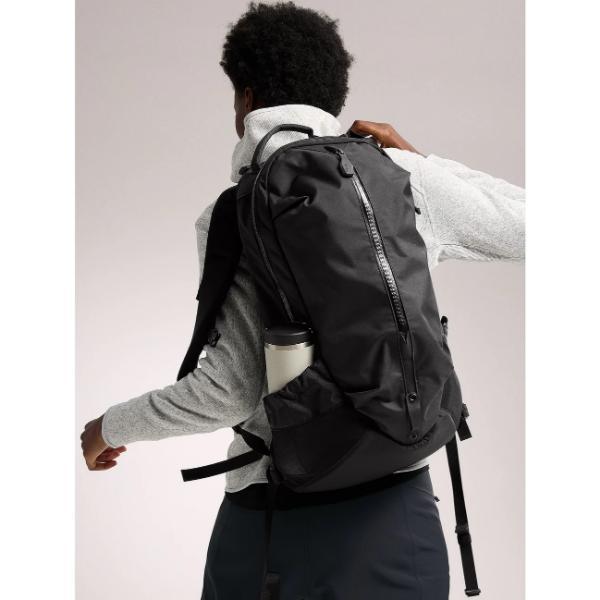希少色 特注品 アークテリクス Edition 別注 アロー 22 バックパック ARC'TERYX（アークテリクス） アロー 22 バックパック (X00000747301