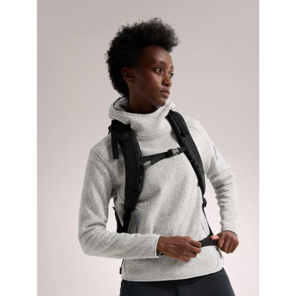 ARC'TERYX（アークテリクス） アロー 22 バックパック (X00000747301