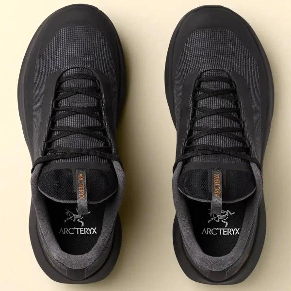 ARC'TERYX（アークテリクス） ノーバン LD 4 GTX メンズ (L08227200
