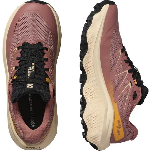 SALOMON サロモン ウルトラフロー 2 GTX レディース (L47884500