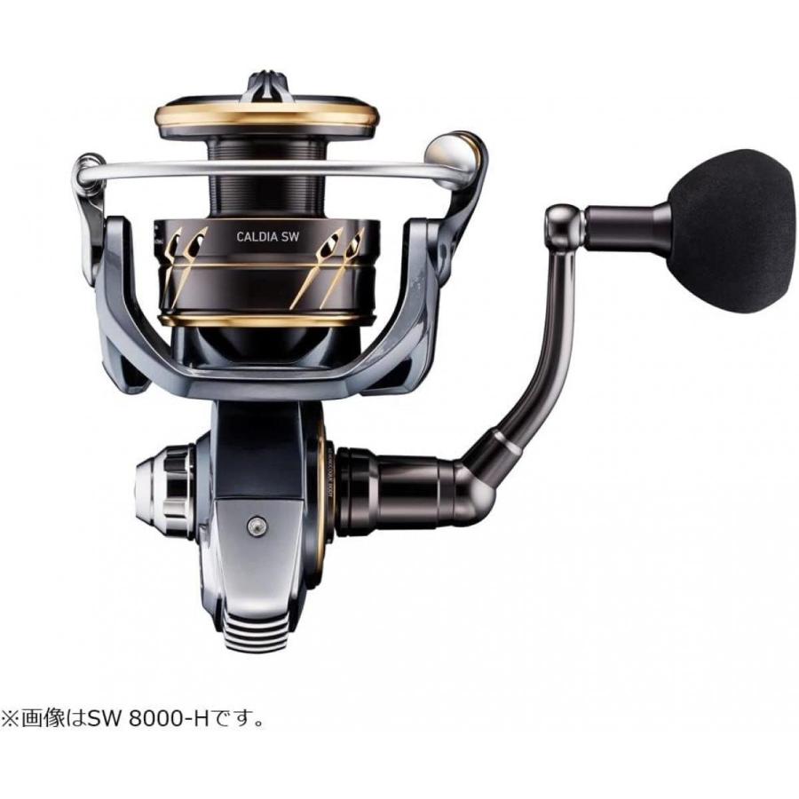 22ダイワCALDIA SW 10000-H スピニングリール 【公式通販】