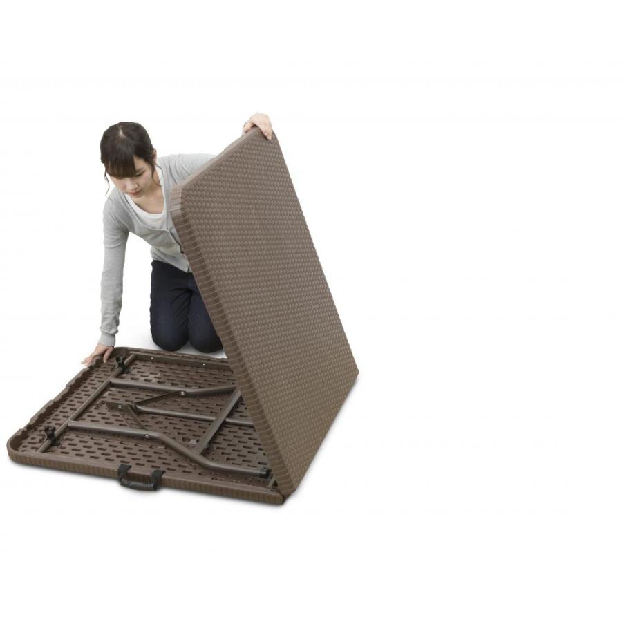 タカショー 【在庫有・即納】タカショー(TAKASHO) イージーキャリー 