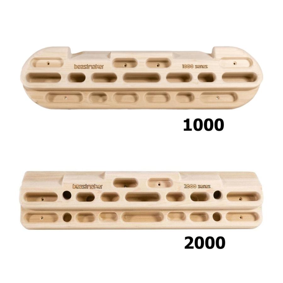Beastmaker ビーストメーカー 1000 Series Fingerboard 】 : BaseCamp