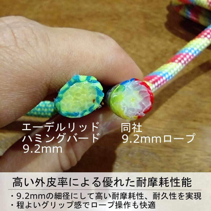 【 エーデルリッド ER71342.060 ハミングバードエコドライ 9.2mm 60m ナイトシトラスミント 】_4