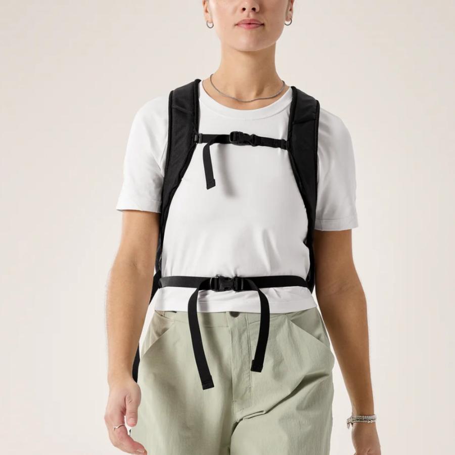 ARC'TERYX（アークテリクス） 【 アークテリクス マンティス 26 バック