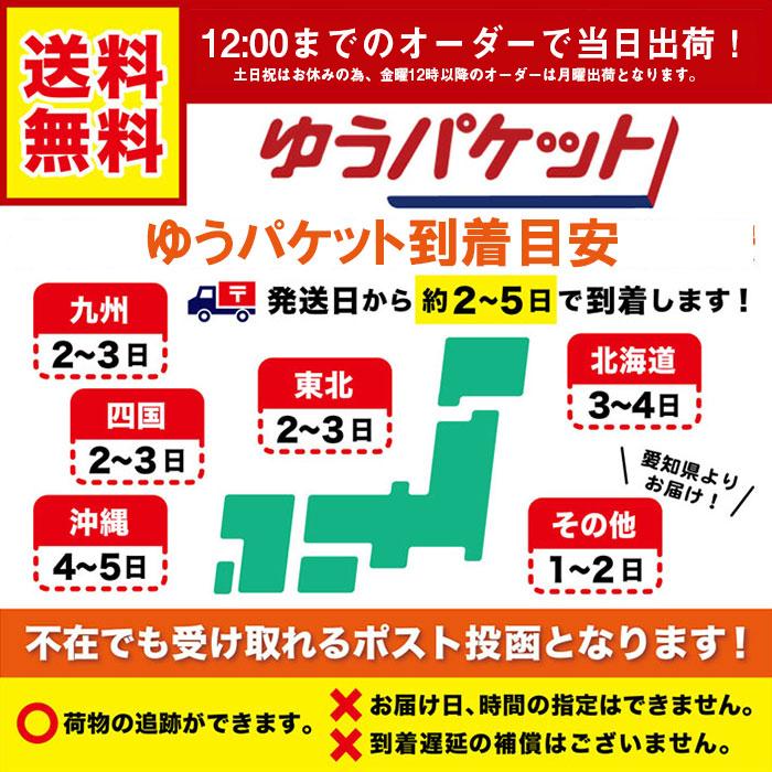 レゴ ブロック クラシック シティ 互換性 基礎板 2枚 32×32ポッチ 選べる18色 土台ベースプレート S｜basecoast｜10