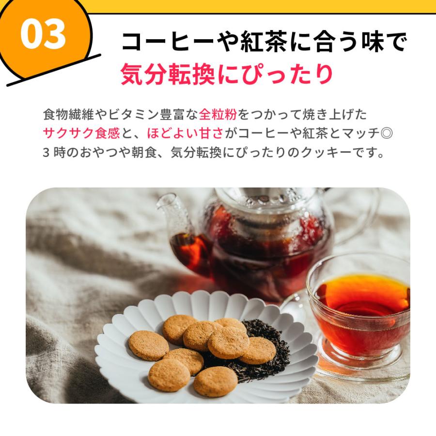 BASE FOOD（ベースフード） ベースクッキー 6種 12袋 24袋 [ココナッツ