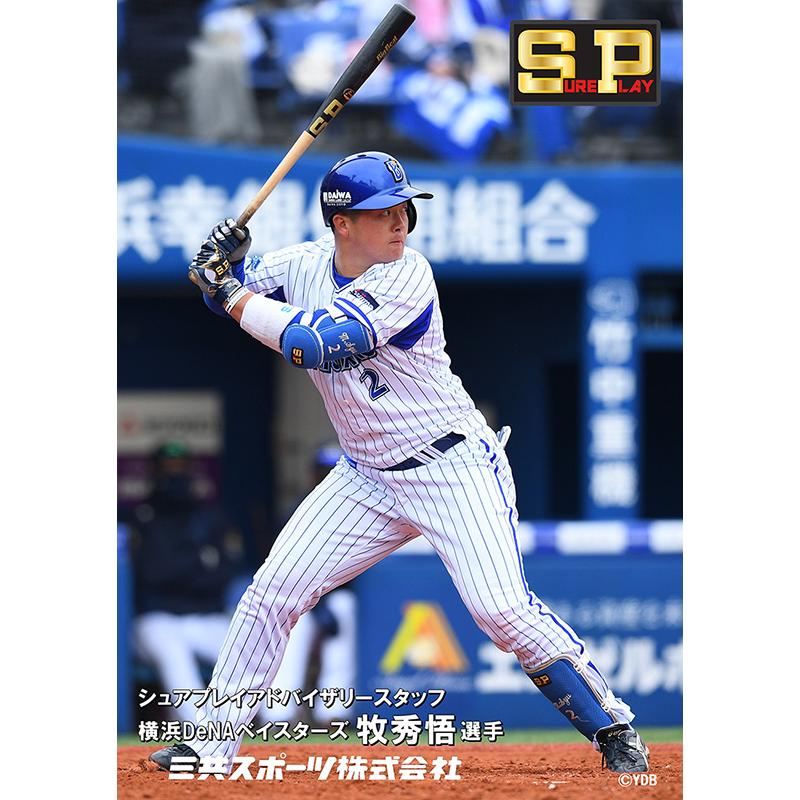 あすつく 限定 シュアプレイ 野球 一般軟式 木製 バット DeNA 牧秀悟選手型 SBTSODB2 sp24ss｜baseman｜05