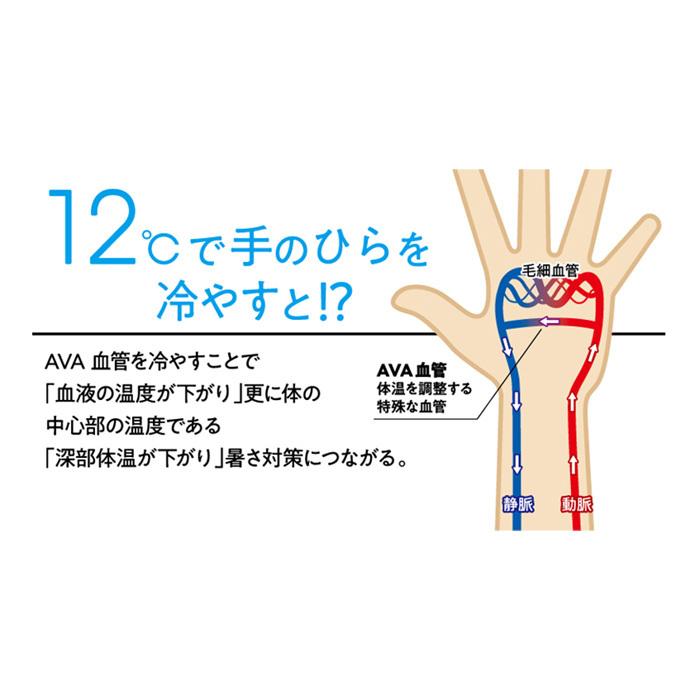 あすつく デサント アウトレット TEKION クーリングフェイスガード ネックガード 12℃で冷やす UVカット DX-C0739 des21ss | DESCENTE | 03