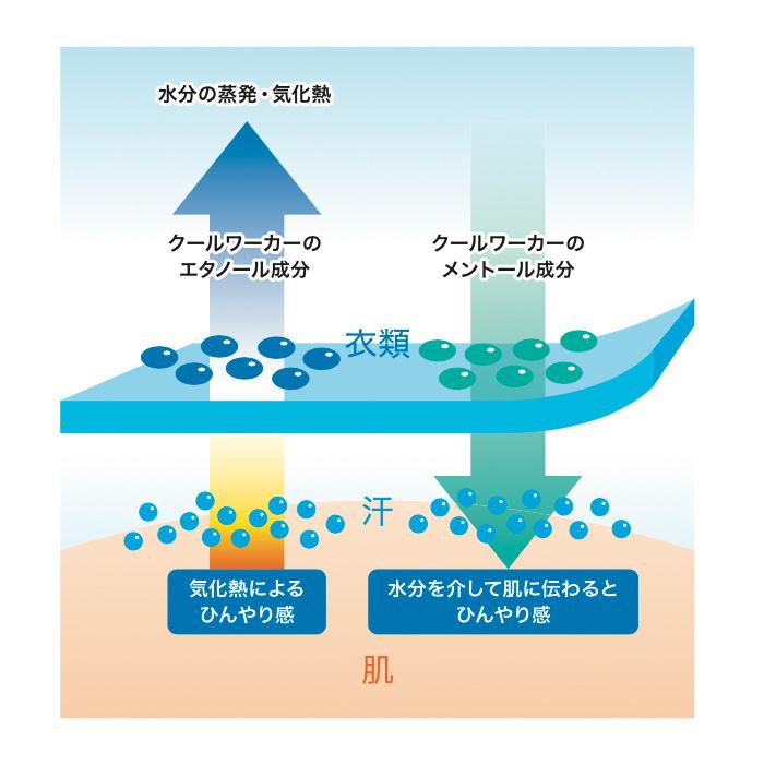 SSK 猛暑対策 クールワーカー プロ仕様 冷感スプレー 業務用 CWB480 ssk22fw 2022cool | エスエスケイ（スポーツ用品） | 02