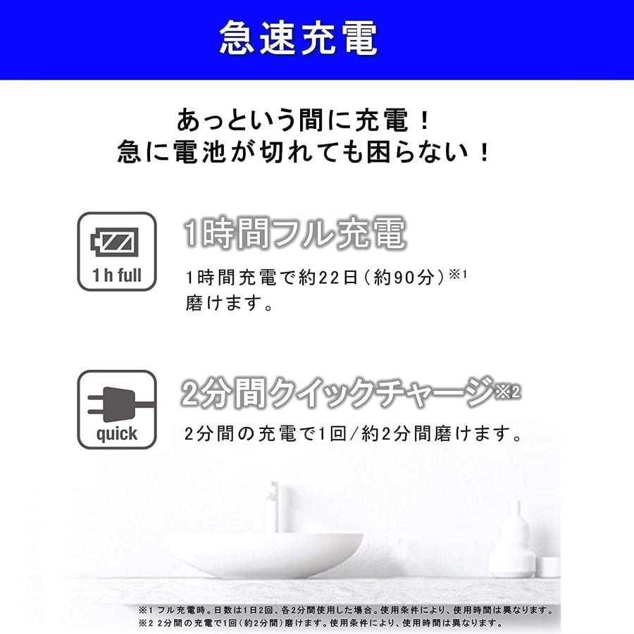 Doltz アウトレット特価 パナソニック バッテリー式 電動歯ブラシ
