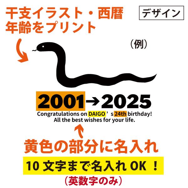 20代 干支 名入れ Tシャツ 誕生日 プレゼント 20歳 22歳 25歳 21歳 23歳 24歳 26歳 27歳 28歳 29歳 オリジナル 男性 女性 名前 巳 2025 競馬 辰 1501 1500 085 | BASIC COVER | 03