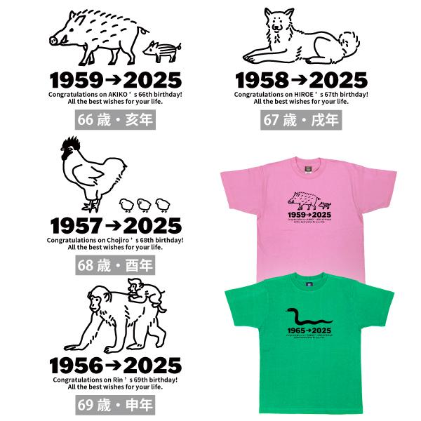 60代 干支 巳 名入れ Tシャツ 父 母 家族 誕生日 プレゼント 60歳 61歳 65歳 62歳 63歳 64歳 66歳 67歳 68歳 69歳 還暦 男性 女性 犬 戌 寅 阪神 1501 1500 085 | BASIC COVER | 10